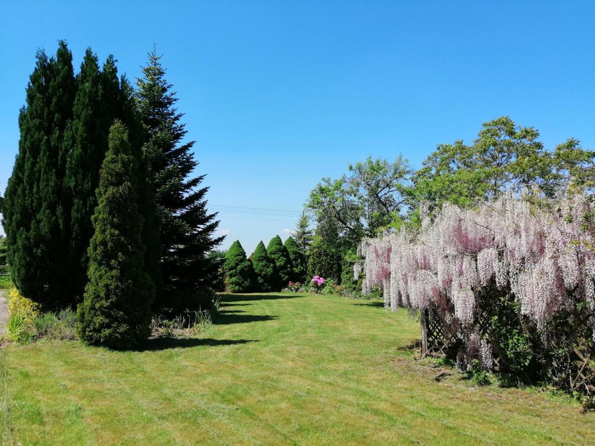 Villa Holma *** Agroturystyka Zbychowo Exteriér fotografie